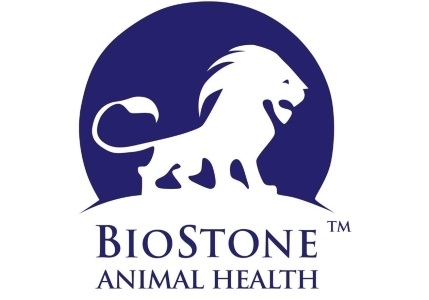 [Biostone] AsurDx™ ELISA Kit  - Equine (말)